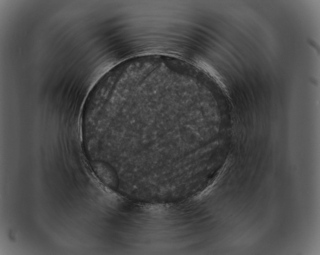 X0000091930892200710031056