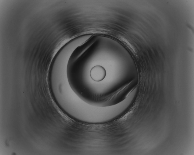 X0000091930893200710031056