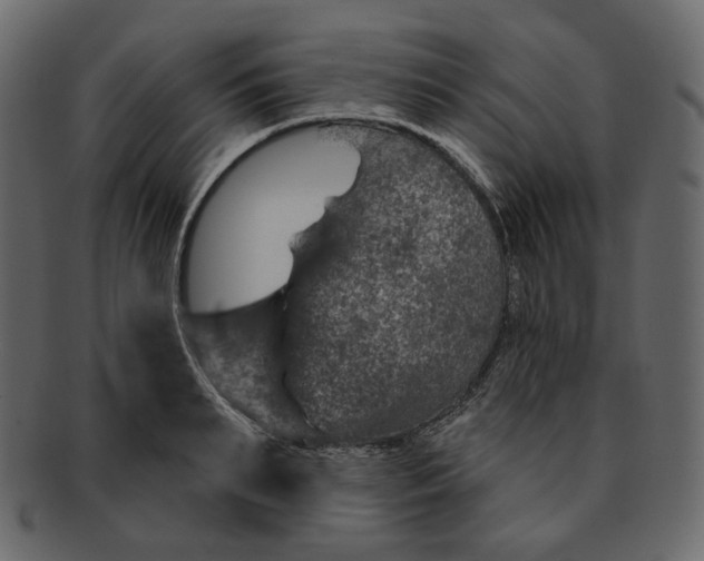 X0000091930895200710031056