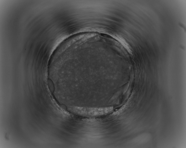 X0000091930896200710031056