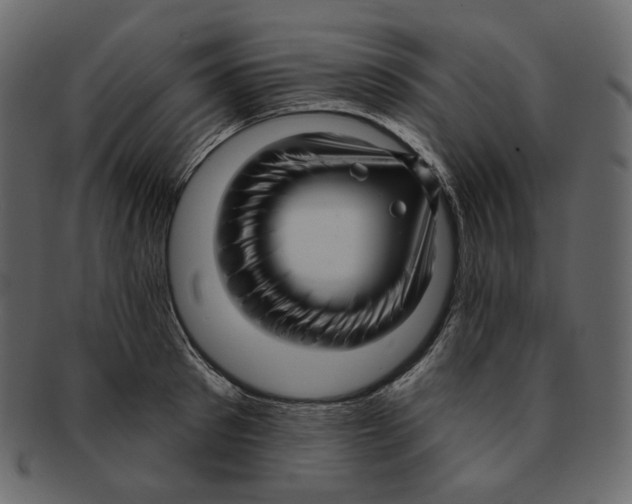 X0000091930897200710031056