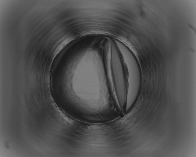 X0000091930898200710031056