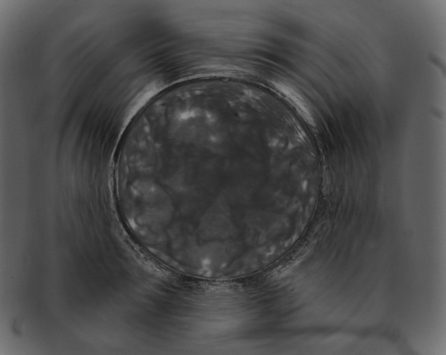 X0000091930899200710031056