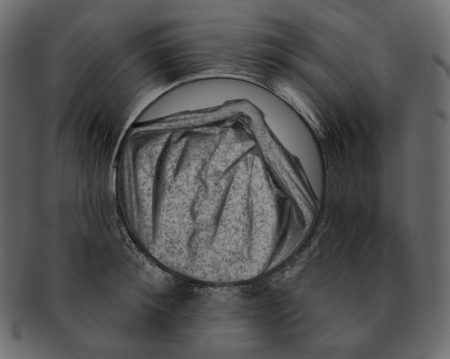 X0000091930900200710031056