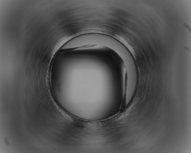 X0000091930901200710031056