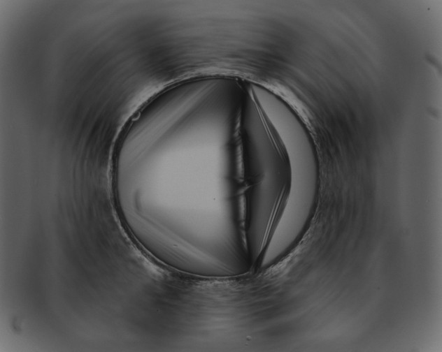 X0000091930902200710031056