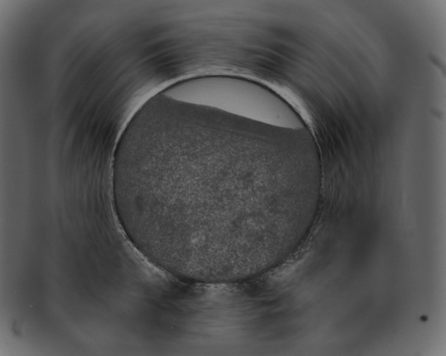 X0000091930903200710031056