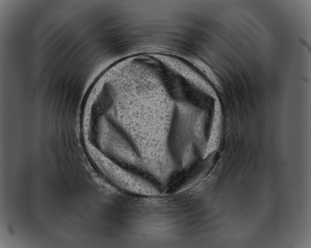 X0000091930904200710031056