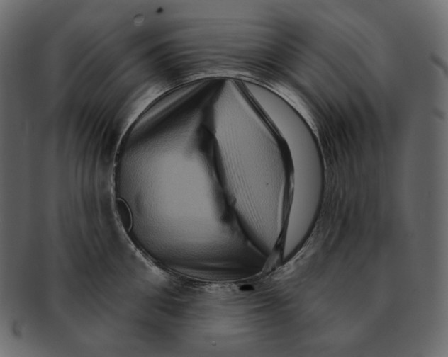 X0000091930906200710031056