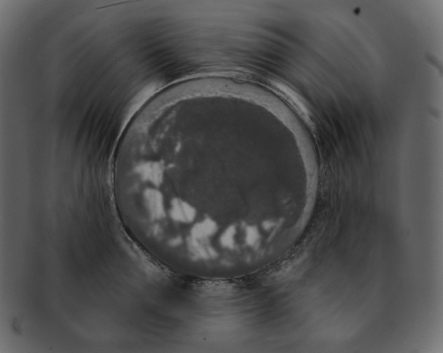 X0000091930907200710031056