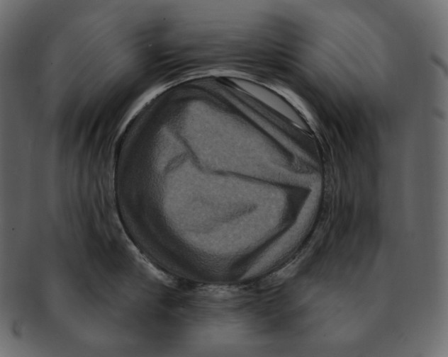 X0000091930910200710031056