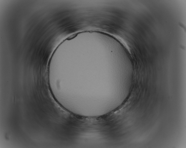 X0000091930911200710031056