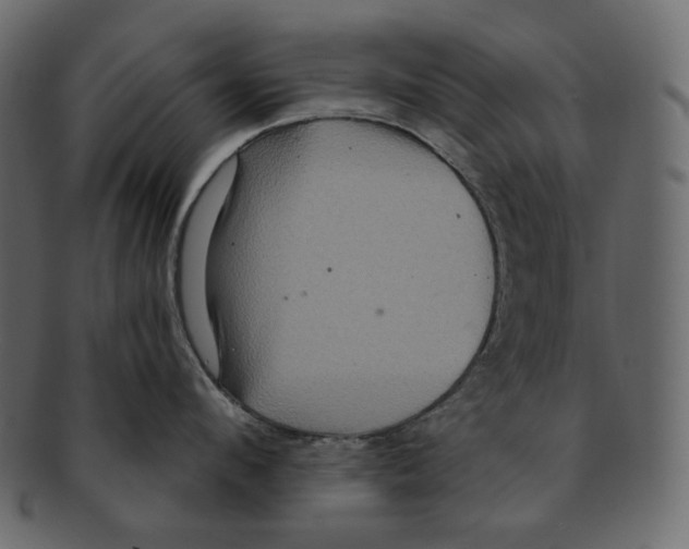 X0000091930912200710031056