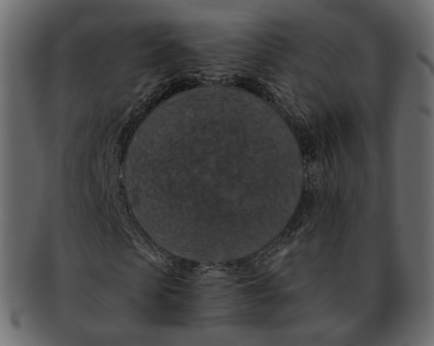 X0000091930913200710031056