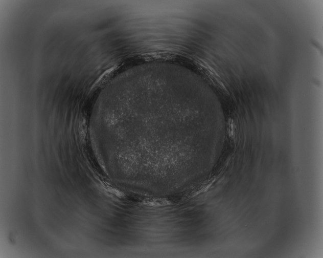 X0000091930915200710031056