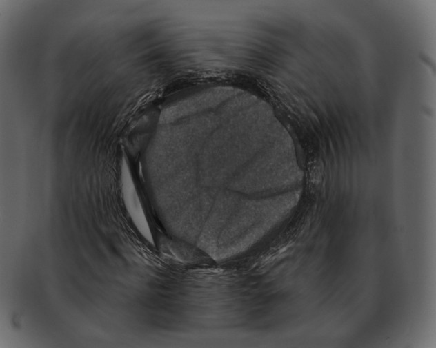 X0000091930916200710031056