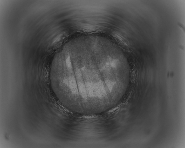 X0000091930917200710031056