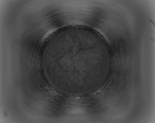 X0000091930919200710031056