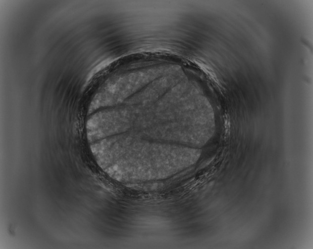 X0000091930920200710031056