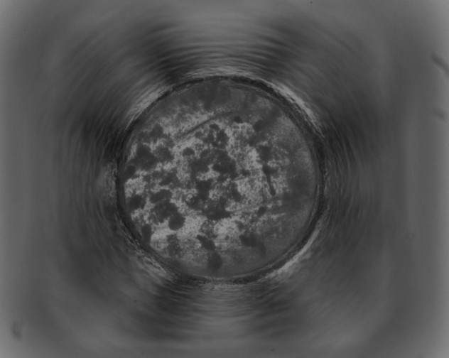 X0000091930921200710031056