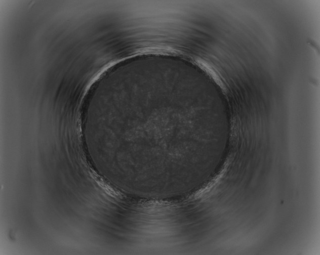 X0000091930923200710031056