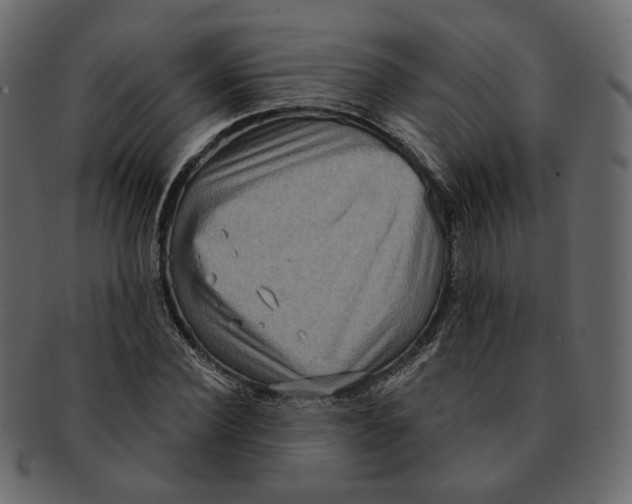 X0000091930924200710031056