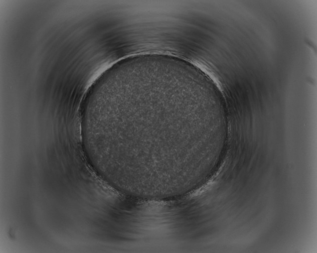 X0000091930925200710031056