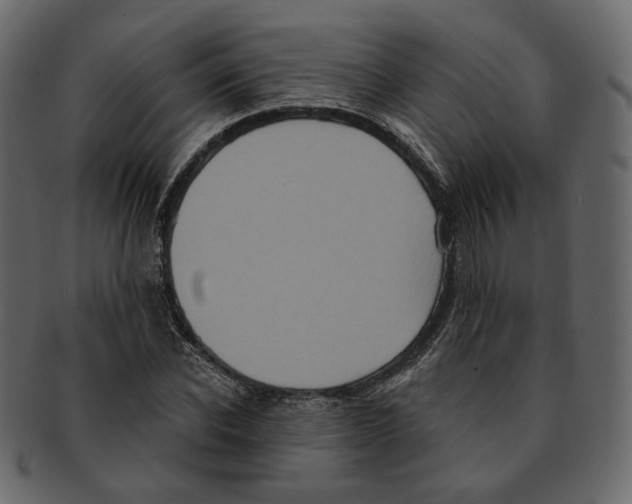 X0000091930926200710031056