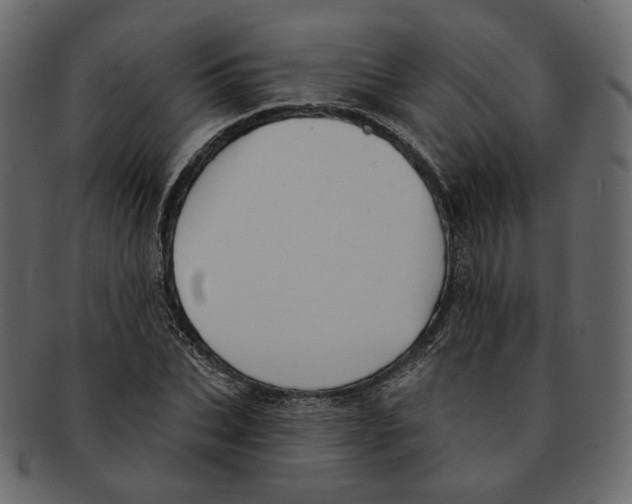 X0000091930927200710031056