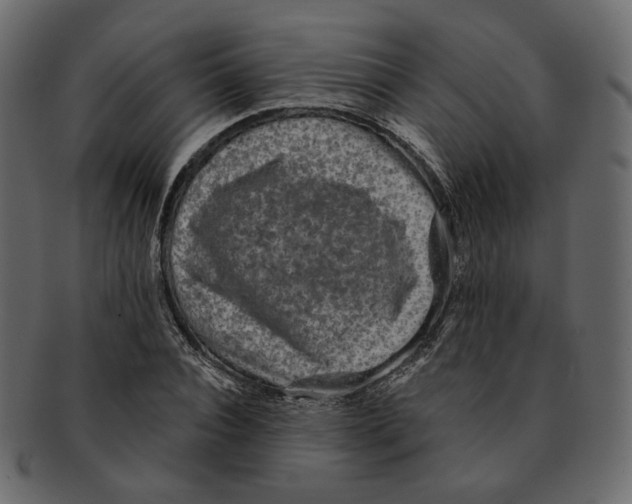 X0000091930928200710031056