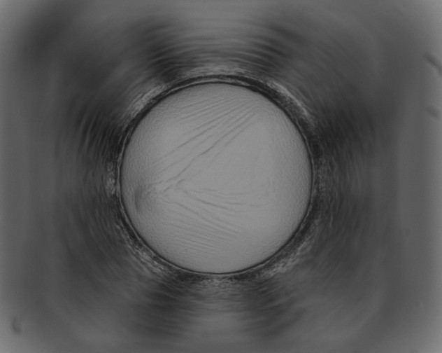 X0000091930929200710031056