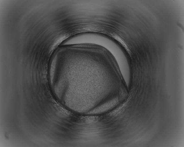 X0000091930930200710031056