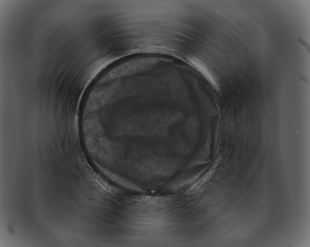 X0000091930932200710031056