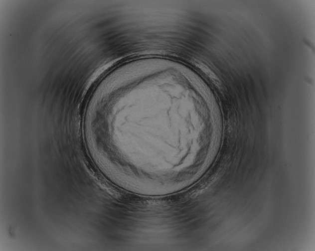 X0000091930933200710031056