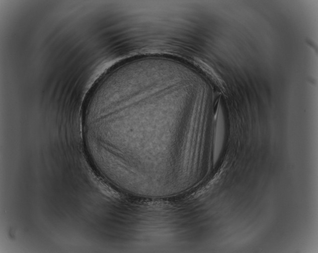 X0000091930934200710031056