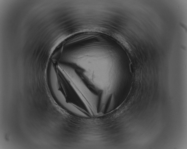 X0000091930936200710031056