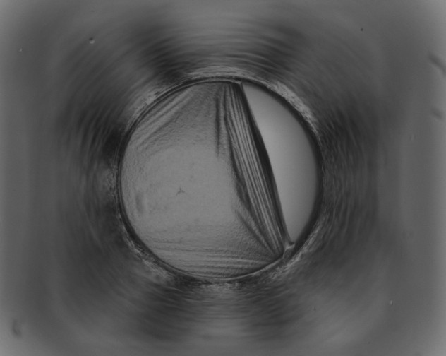 X0000091930937200710031056