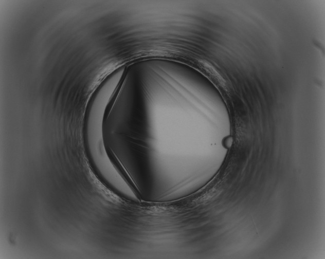 X0000091930938200710031056