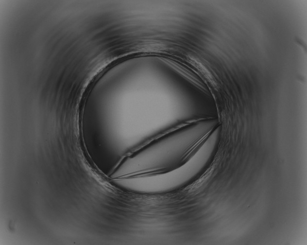 X0000091930939200710031056