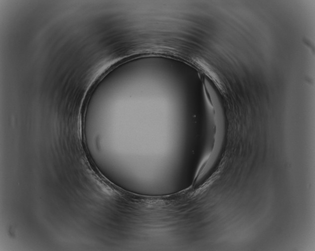 X0000091930940200710031056