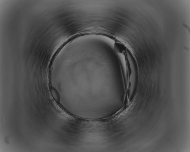 X0000091930941200710031056