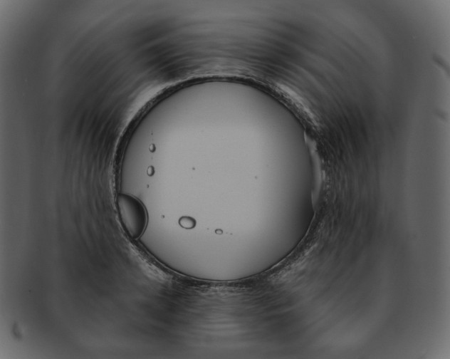 X0000091930942200710031056