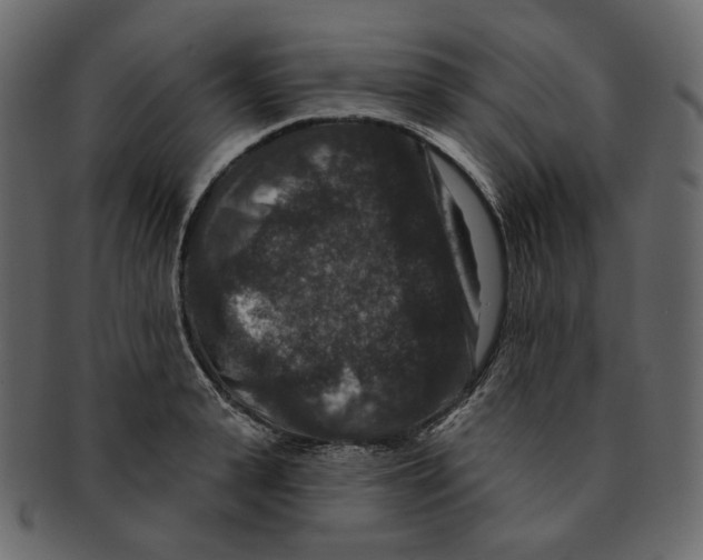 X0000091930943200710031056