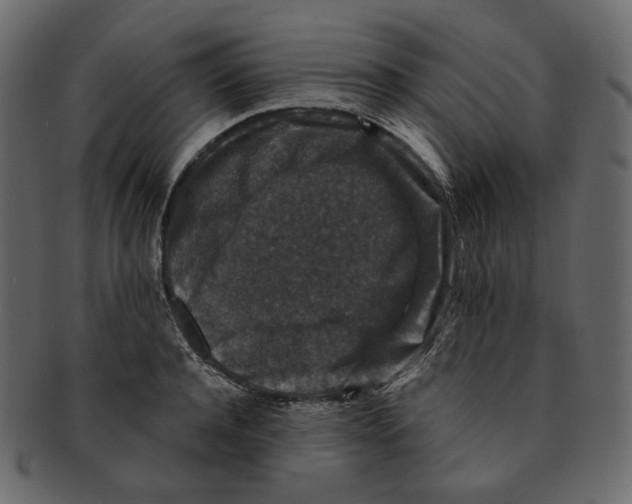 X0000091930944200710031056