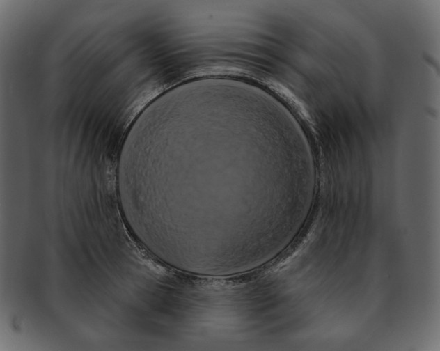 X0000091930945200710031056