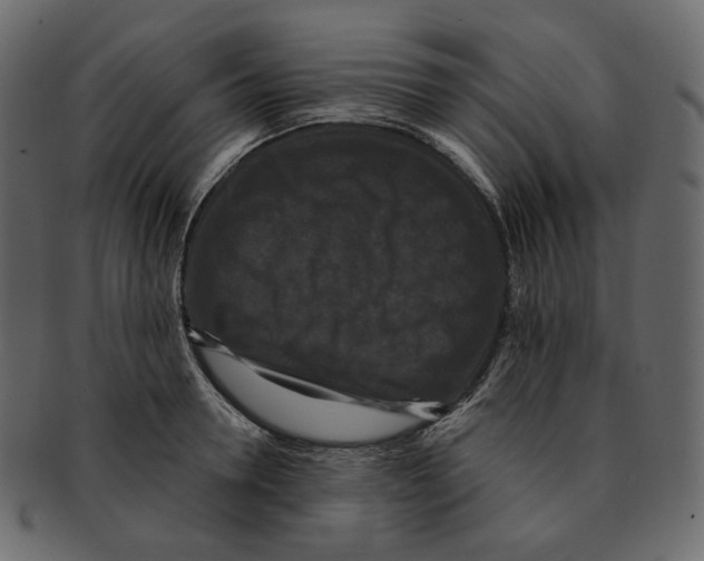 X0000091930946200710031056