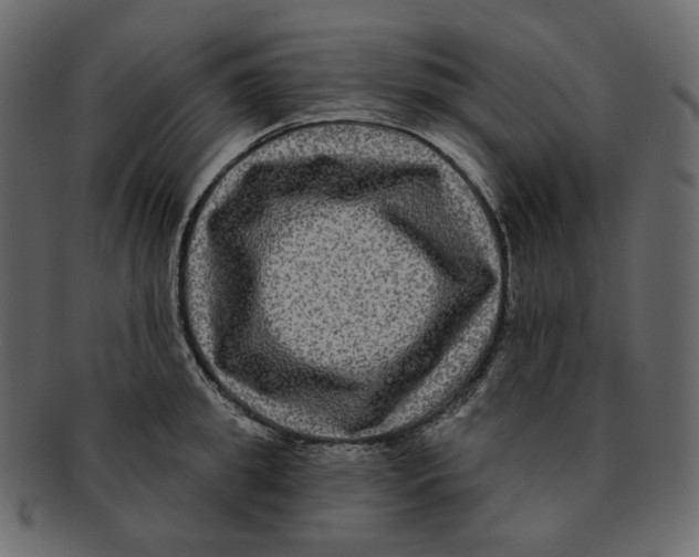 X0000091930949200710031056