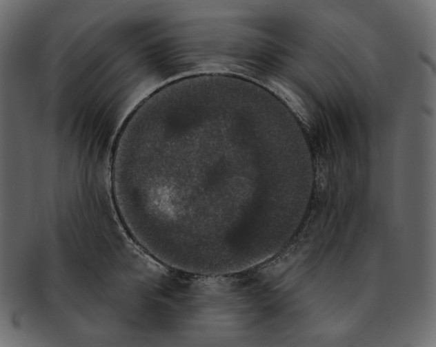 X0000091930950200710031056