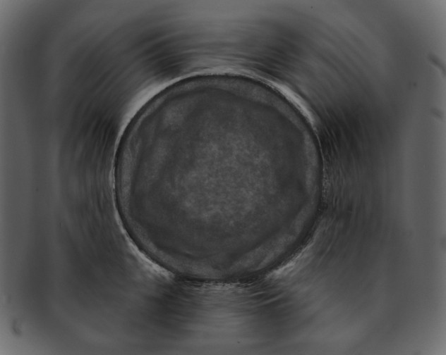 X0000091930951200710031056