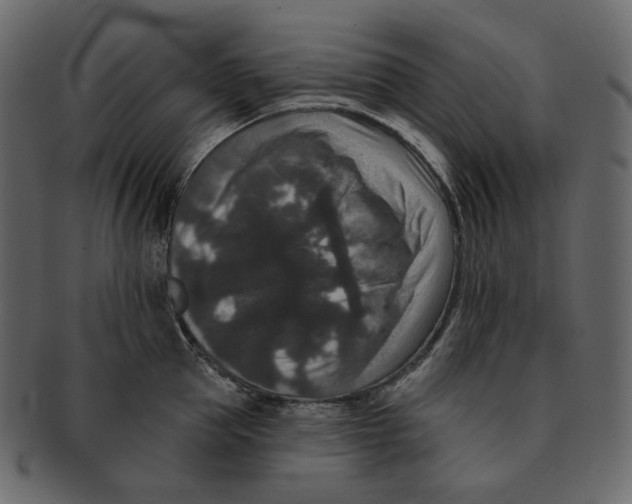 X0000091930953200710031056